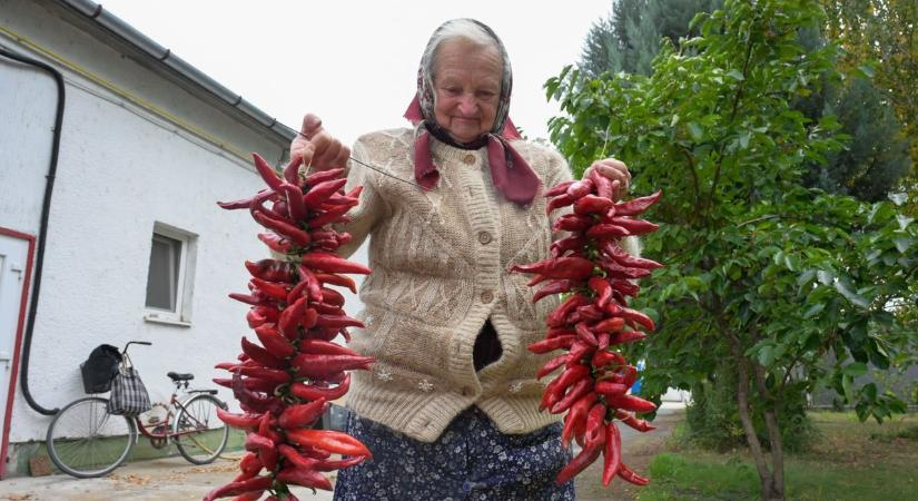 Világsiker a magyar konyhának: a szegedi szalámi és a paprika is felkerült a listára