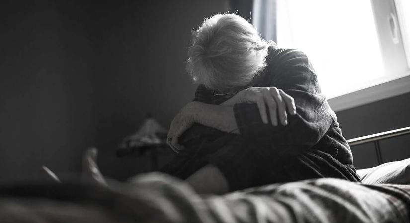 17 milliárd forintos katasztrófa: egy bálna mindenét elvesztette az Aave-n