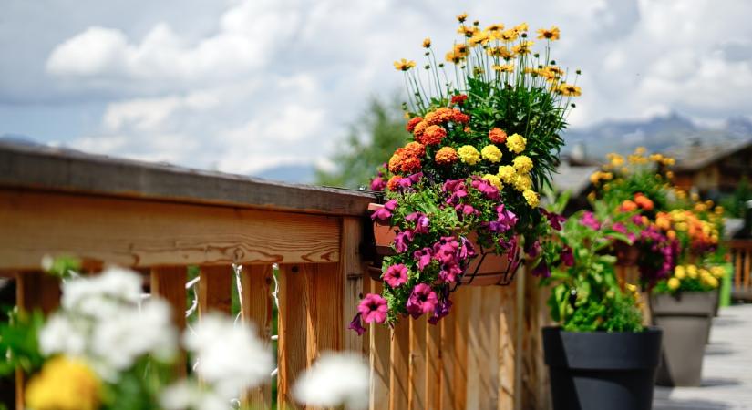Tavaszi balkonláda: ezeket a virágokat ültesd, hogy meseszép legyen az erkélyed