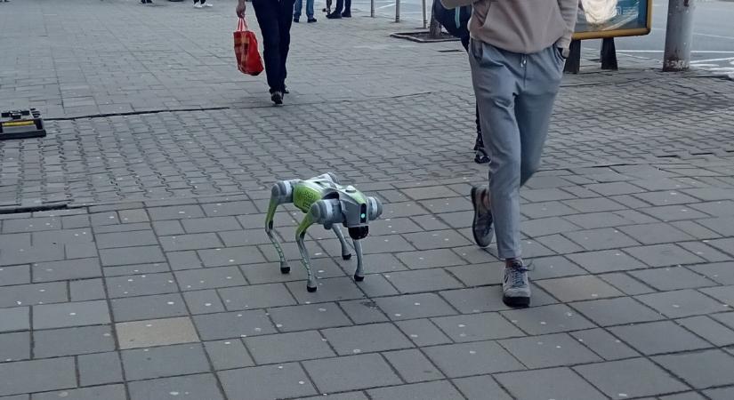 Itt a jövő: robotkutyák jelentek meg Erdély szívében. De mit csinálnak?