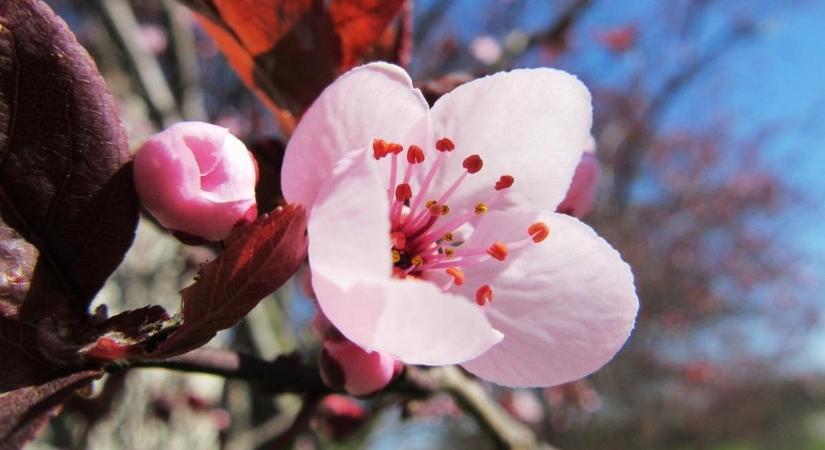Ragyogó napsütés és kellemes hőmérséklet a nemzeti ünnepen