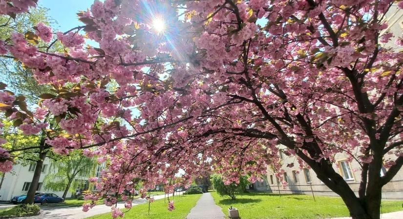 Reggelre kabát, délutánra naptej kell szombaton vármegyénkben
