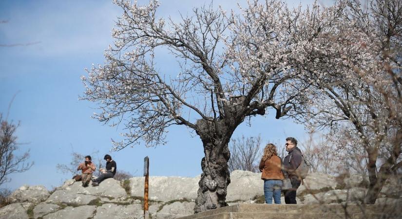 Ránk robban a tavasz, 18 fokban készülhetünk a nemzeti ünnepre