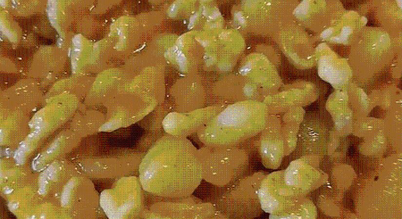 A titkos összetevő, amitől a krumplis nokedli még másnap is olyan puha marad, mintha most szaggattad volna