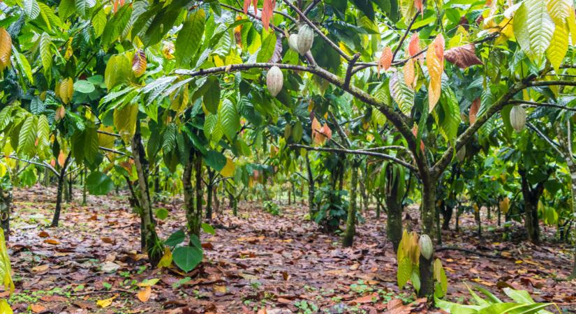 Füstbe ment az álom: rengeteg beruházás maradhat el ebben a térségben