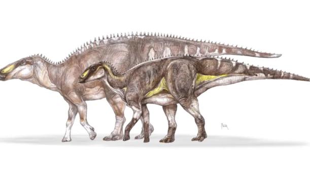 Új dinoszauruszfajt fedeztek fel magyar kutatók Erdélyben