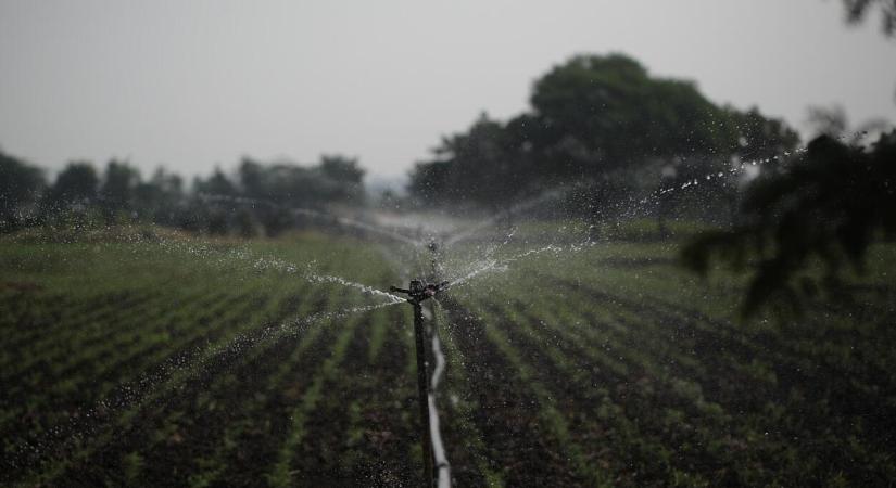 A hatékony öntözés titkai: a rotoros szórófejek világa