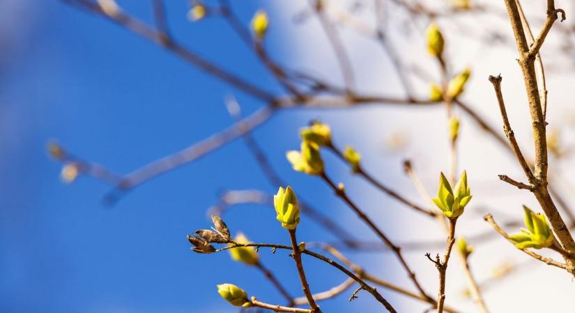 Hétvégi időjárás: Meleg, szinte nyári