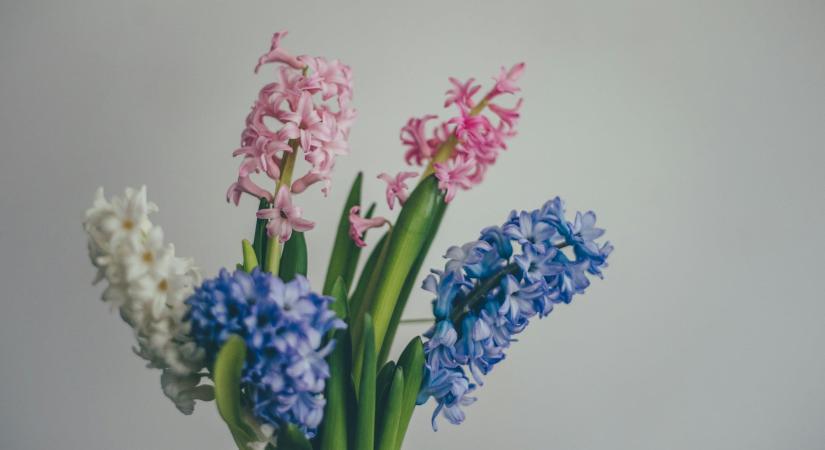 Ma, március 14.: Matild és Matilda névnapja van – milyen a személyiségük?