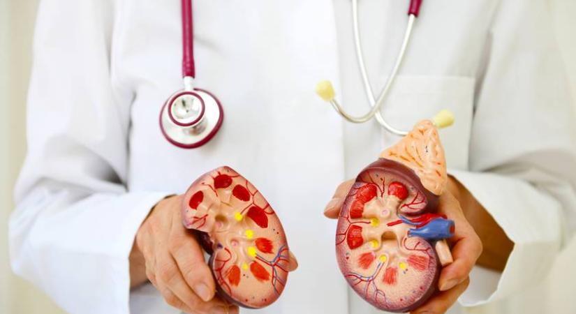 Ezek a veseleállás leggyakoribb okai: így ismerheted fel időben