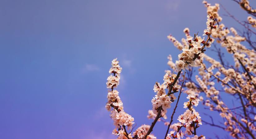 Orvosmeteorológia – a hőmérséklet átlép egy kritikus határt