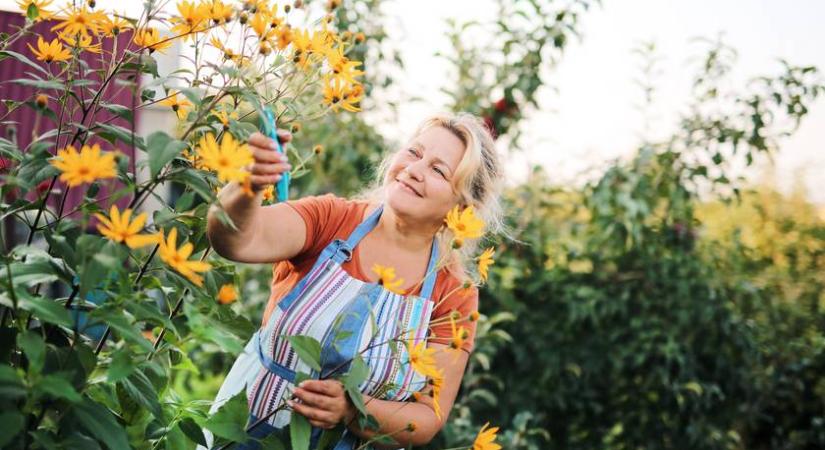 45 felett nem ugyanaz számít az egészséges életmódban