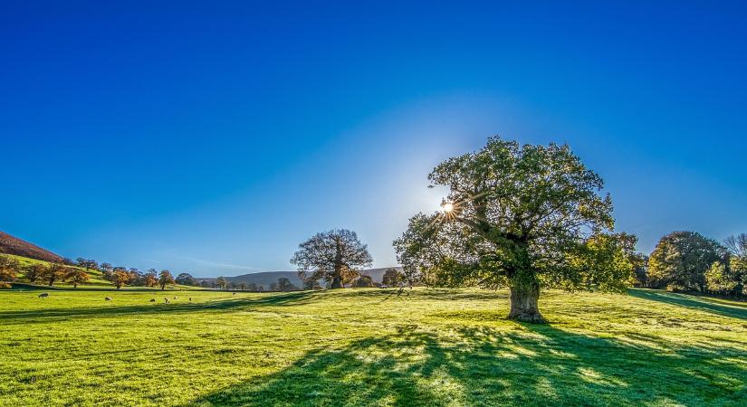 Napos idő várható, a Dunántúlon zápor sem kizárt