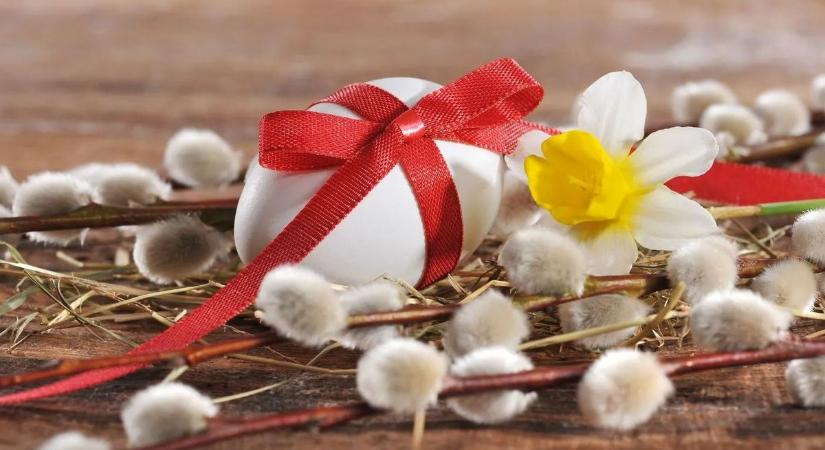 Tavaszi csoda Fejér megyében: így élednek fel a fák és a barka a ligetekben