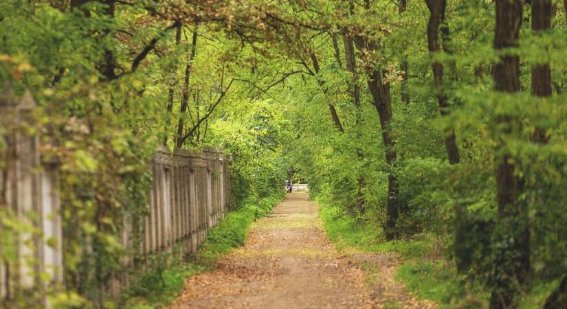 5 különleges kirándulóhely Vas vármegyében, ami tavasszal a legszebb