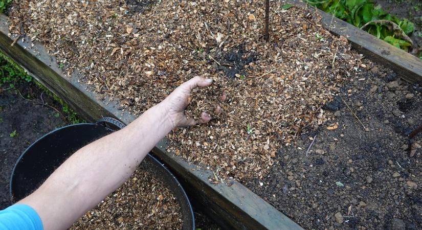 Ha így használod a mulcsot, kevesebb lesz a gyom