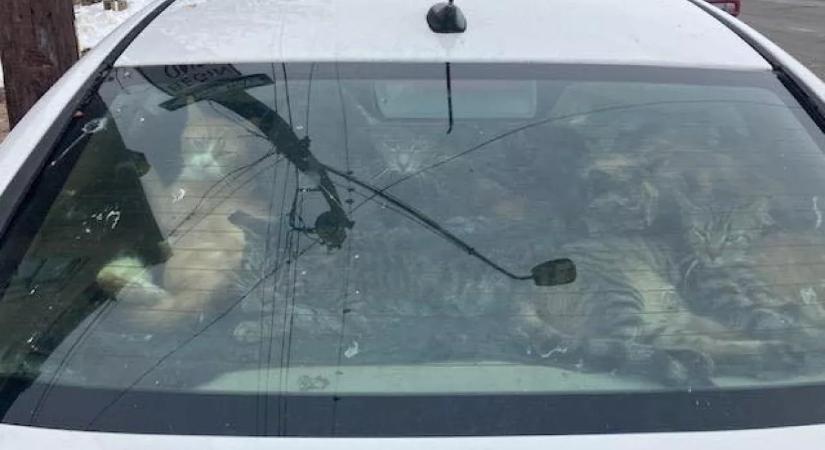 Egy elhagyott kocsit ellenőriztek a hatóságok: szóhoz sem jutnak, mi volt benne