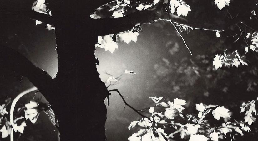 Fiatal lánynak szerelmes udvarlót, terhes nőnek magzatelhajtást ígért