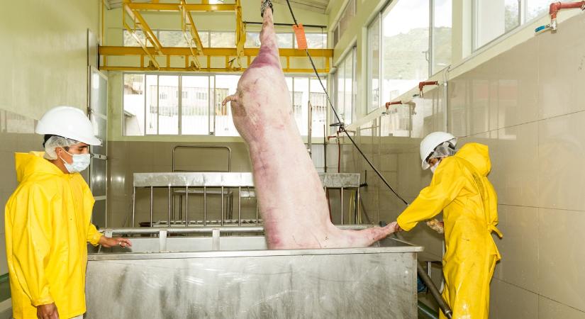 A „Nagy Testvér” beköltözik a vágóhidakra