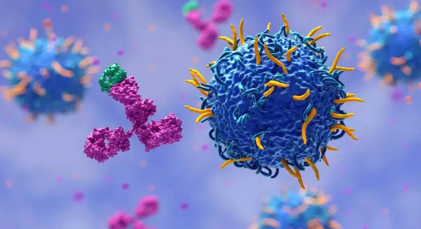 Megállíthatóvá válhat a rák: fontos kapcsolót találtak a szervezetben