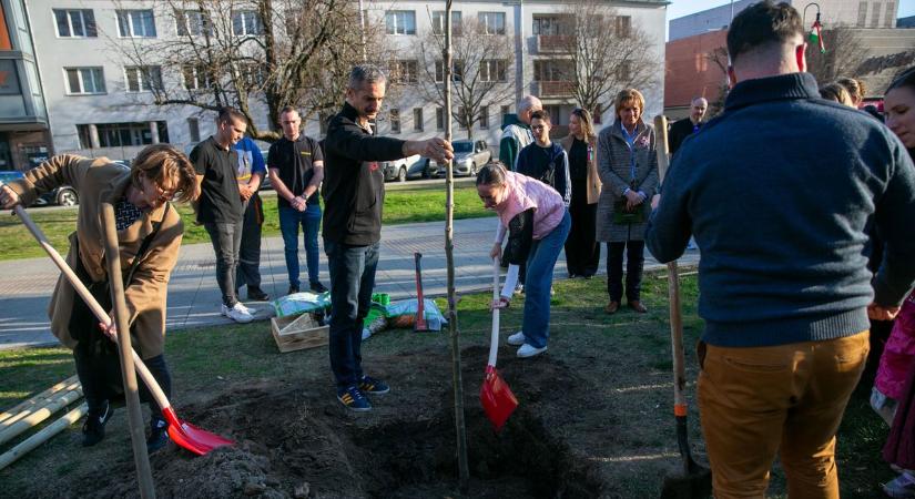 A Hírös Agóra legrégebbi csoportja ünnepli fennállásának 50. évfordulóját – fotók