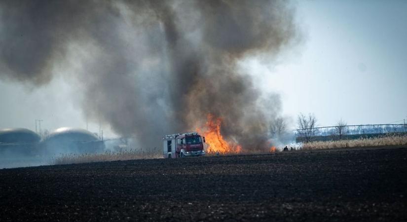Hatalmas volt a készültség, több hektáron pusztított a tűz Hajdú-Biharban