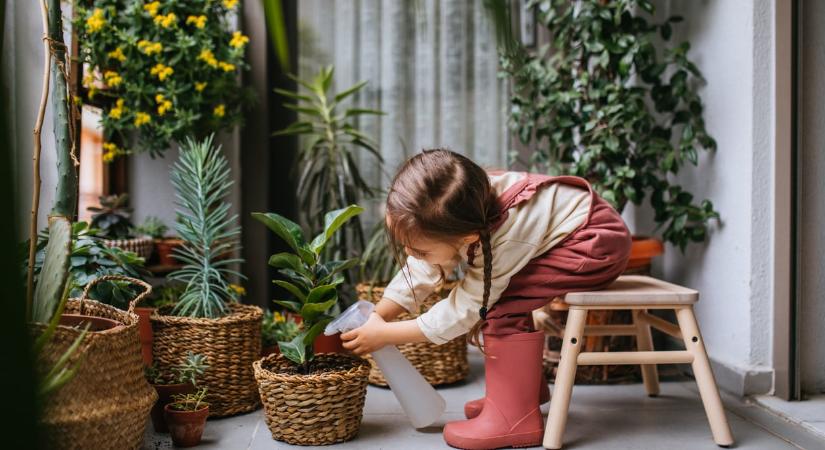 Már ez az 5 apró változtatás is nagy hatással lesz a balkonnövényeid egészségére