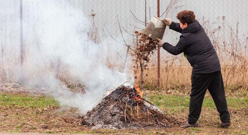 Sokan észre sem veszik a kertben, pedig egy hasznos állat élete múlhat rajta