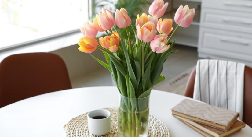 Mutatjuk a holland virágkötők titkát, így őrizhetjük meg napokig a tulipánok frissességét