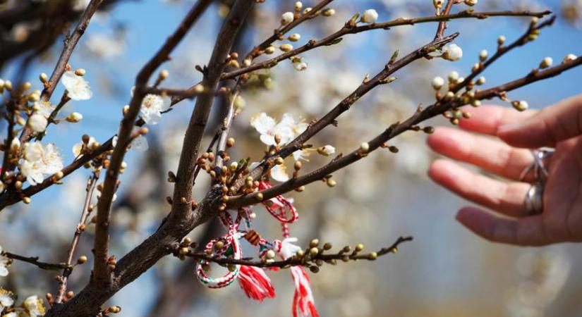3 kerti munka, aminek most van az ideje: csak így lesz gyönyörű a kert a szakértő szerint