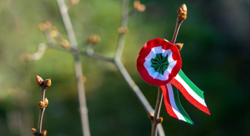 Boltzár, közlekedés, lezárások – mutatjuk, mi várható március 15-én