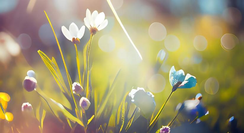 Ezúttal az időjárás is velünk ünnepel március 15-én: ragyogó napsütés várható egész hétvégén