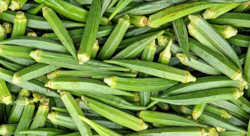 Az egész világ megőrül az okráért! Készíts belőle isteni perzsa ragut!