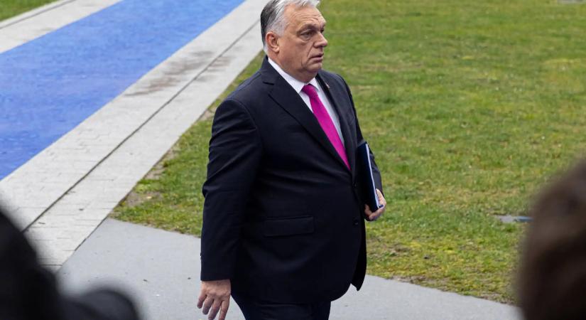 Török Gábor: Kockázatos terepre tévedt a Fidesz a Zelenszkij elleni kampánnyal