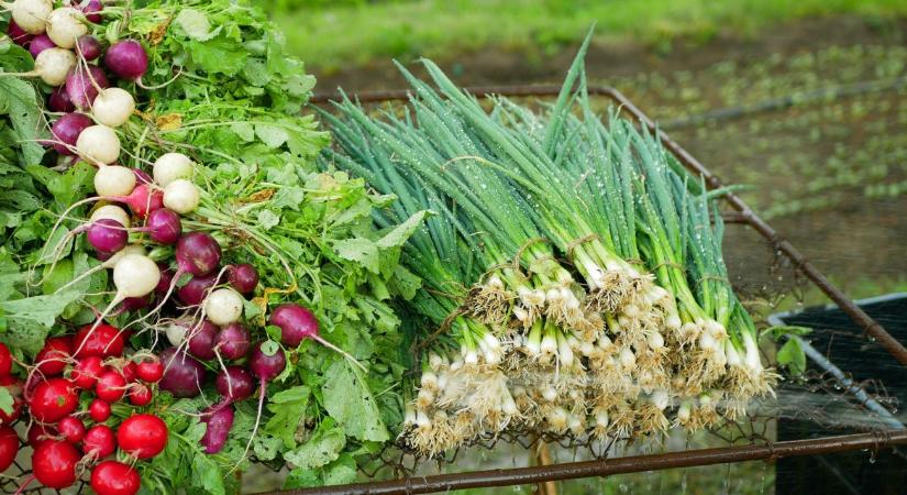 Március kedvencei: ezek a zöldségek fogynak a leggyorsabban