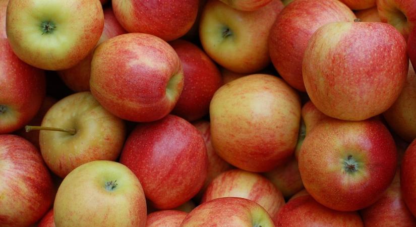 Dráguló alma: a prémium fajták húzzák fel az árakat