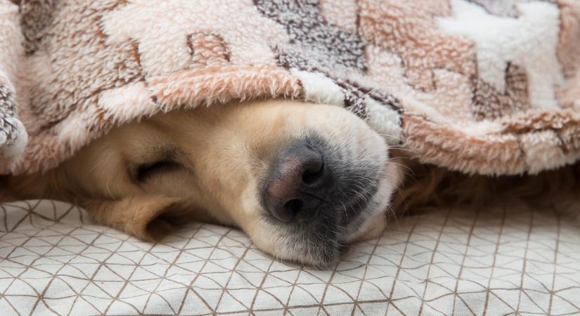 Hidegfront éri el az országot, ekkor zuhan be a hőmérséklet