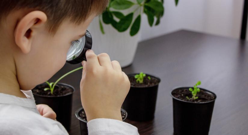 Lehet, hogy te is növényvakságban szenvedsz?