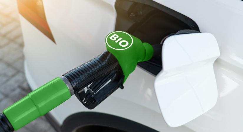 Még több papírmunka a repce- és kukoricatermelőknek