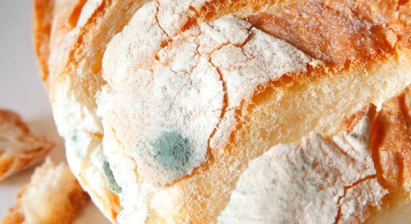 Ez a kenyér penészedik leggyorsabban – Azonnal dobd ki, ha ezt látod rajta