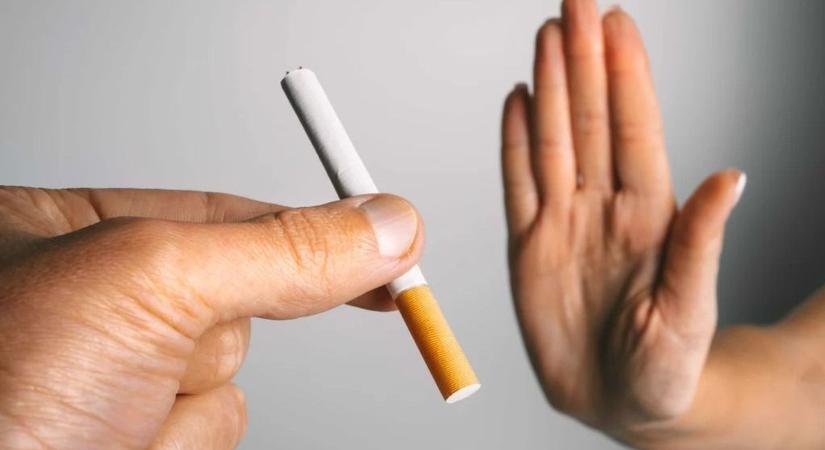 Fiatalok, figyelem! Kreatív pályázat, ami tényleg megéri – ne hagyd ki!