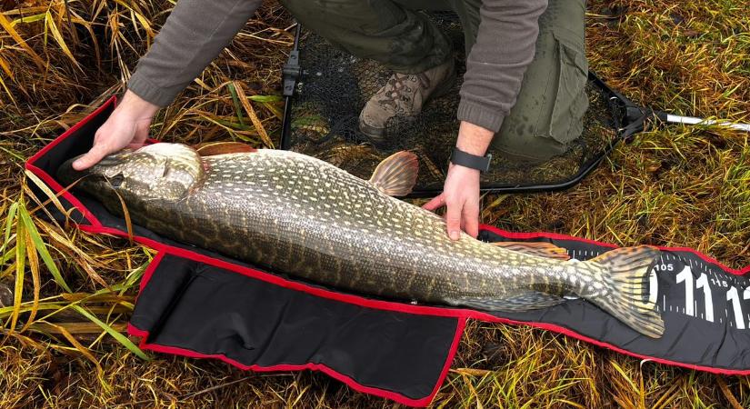 Óriás halak nyomában – 101 horgászhelyszín Győr-Moson-Sopronban, amit kár lenne kihagyni - fotók