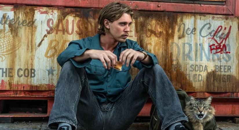 Robbantanak a rabbik, nyomoznak az állatok: Mutatjuk, mit nézzünk a hétvégén