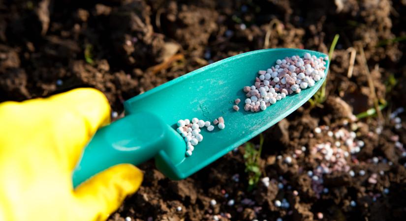 Egyre nagyobb a baj: az egekbe emelkedhet a műtrágya ára