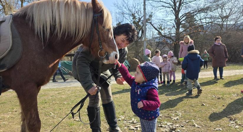Lovak, huszárok és kokárdák – ismét élményekkel telt a Huszárképző tábor Felsőtárkányban