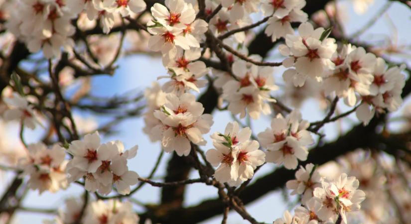 Péntek 13. volt 2026. eddigi legenyhébb napja