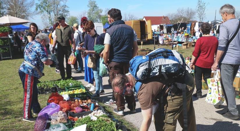Igazi gasztrofesztivál várja a látogatókat a vasárnapi mórahalmi vásárban