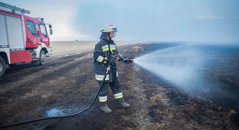 Hatalmas tűz a Balatonnál, egy nyaraló is veszélybe került a parton a lángok miatt
