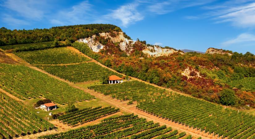 Barangolások Nyíregyházáról