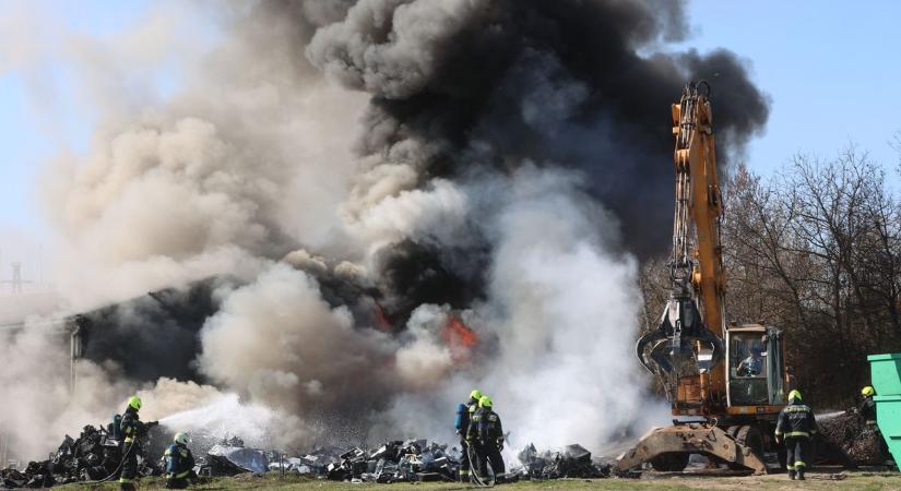 Így pusztított a tűz Pécs határában (VIDEÓ, GALÉRIA)